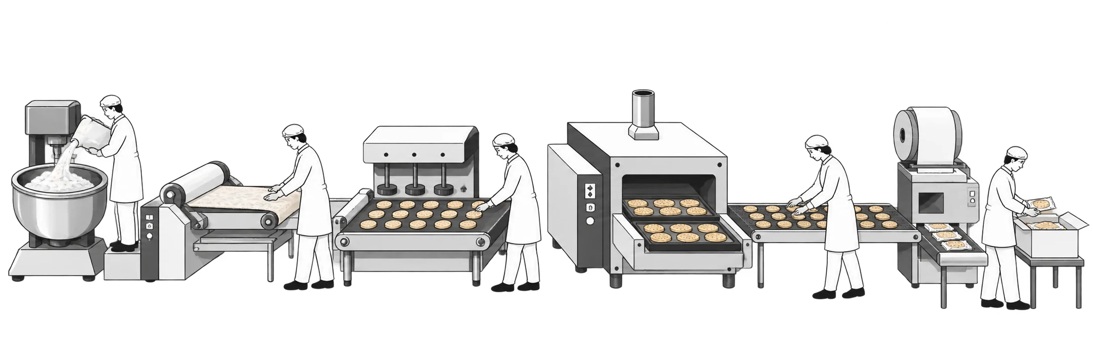 Illustration of the biscuit manufacturing process from mixing to packaging